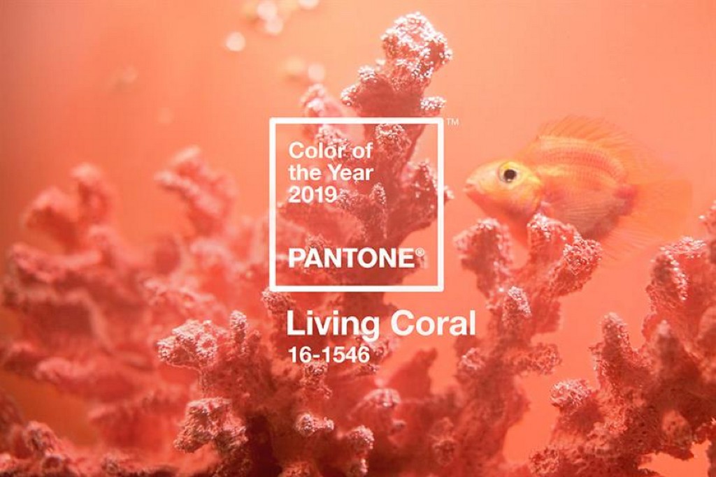 LIVING CORAL – PANTONE COLOUR FOR 2019