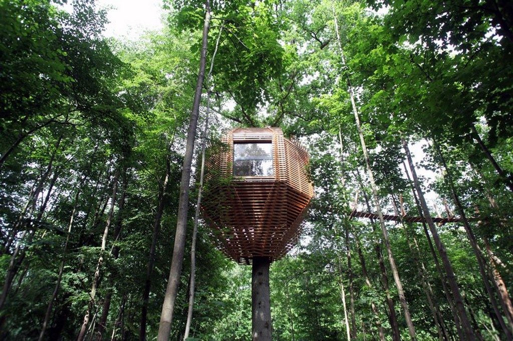 Treehouse