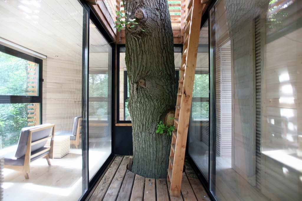 You’ve Never Seen a Treehouse like This Before