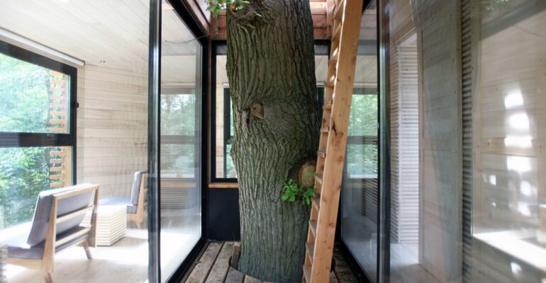 Treehouse (3)