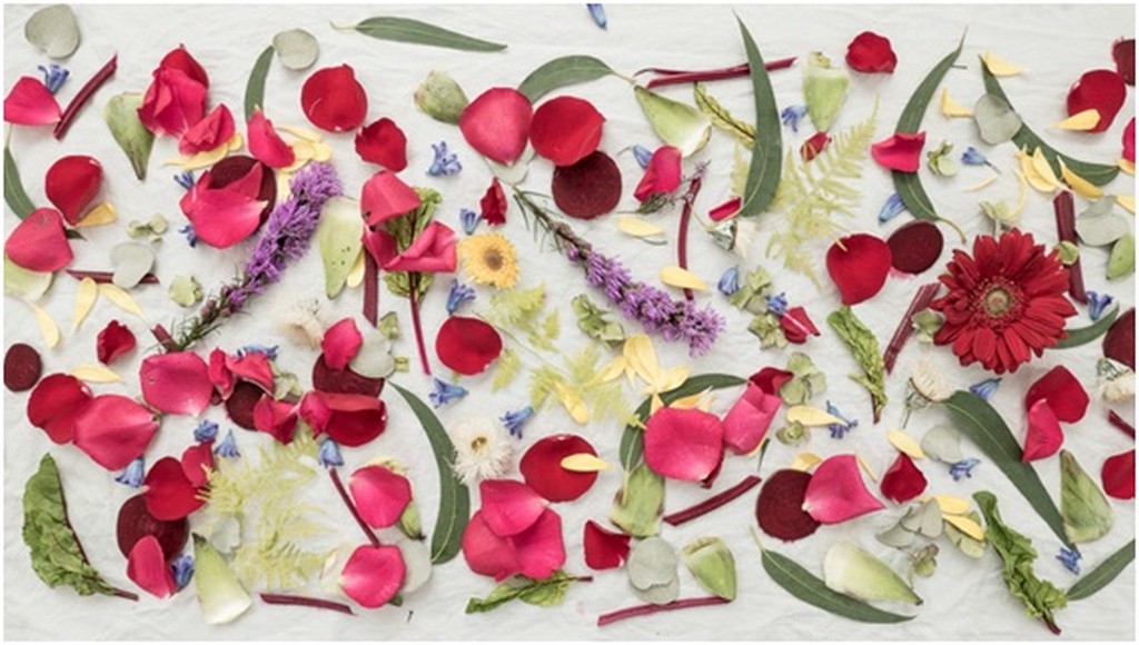 THE ART OF (FLORAL) DYEING