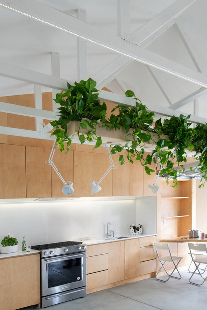 home space biophilic design