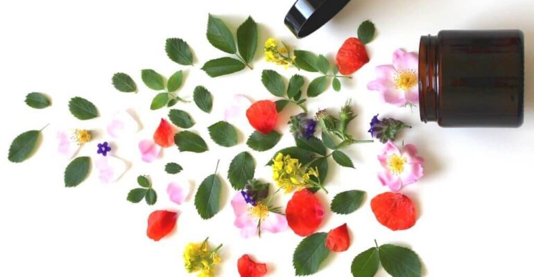 The Beauty Industry: 5 ways they are becoming eco-friendly