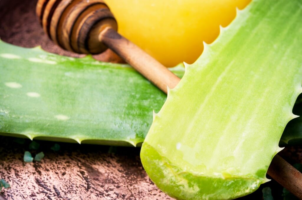 Aloe Vera and Neem: Nature’s favorite skincare combination