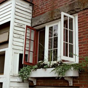 Different Types Of Windows!