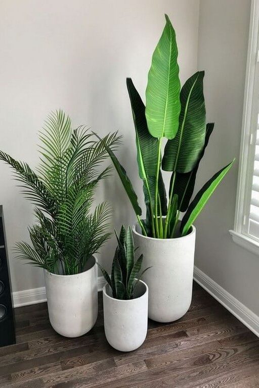 Indoor plants: Simple design hacks to decorate indoors