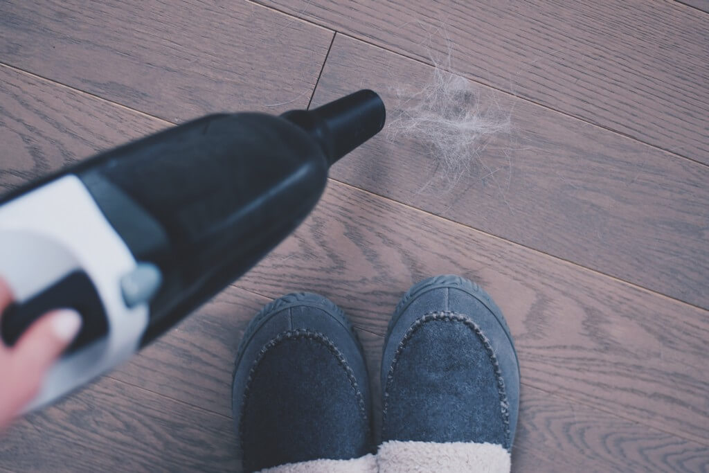 5 tips for cleaning pet hair from a carpet 