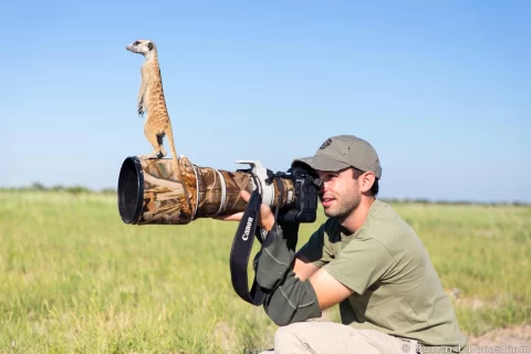 A Guide to Becoming a Professional Wildlife Photographer